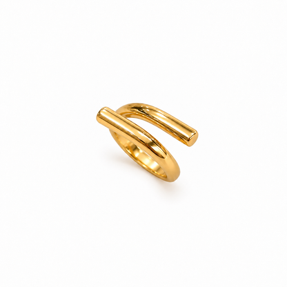 Anel Fio Duplo Liso Ouro 18k