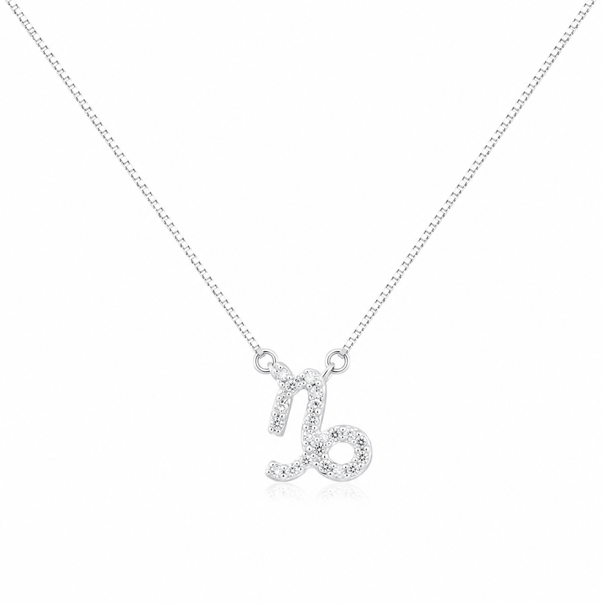 Colar Signo Capricornio Prata 925