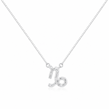 Colar Signo Capricornio Prata 925