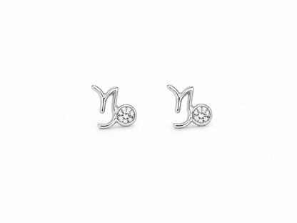 Brinco Delicate Prata 925